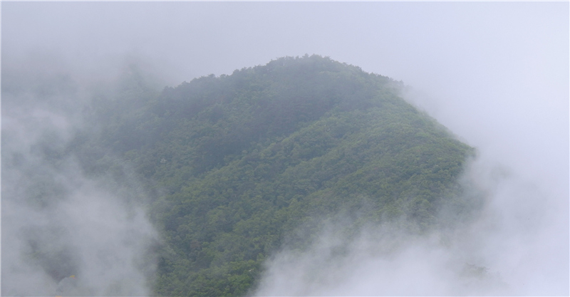 ��������Դ��