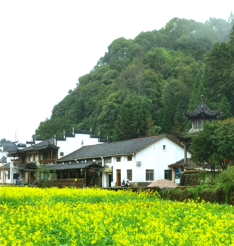 ��������Դ��