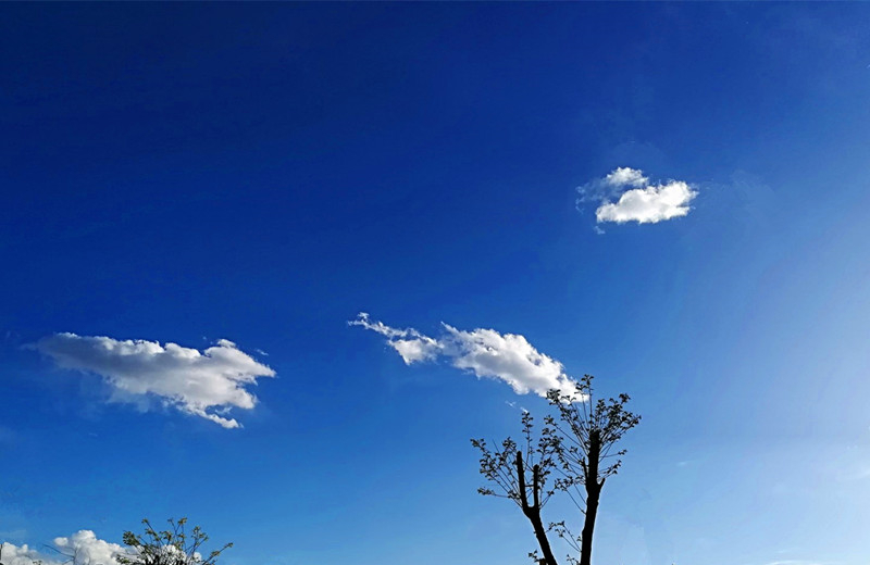 ��ԴԊ�ˡ�����(qi��ng)�Ľ����MԊ