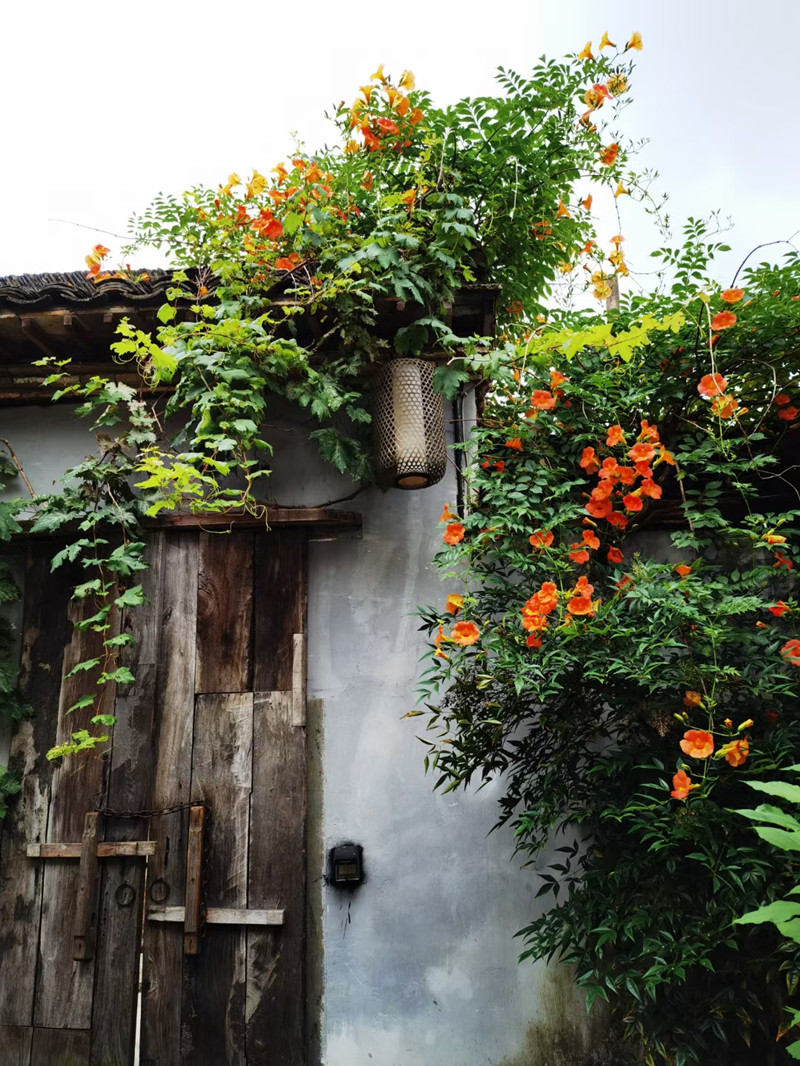 ��ԴԊ�ˡ�����(qi��ng)�Ľ����MԊ