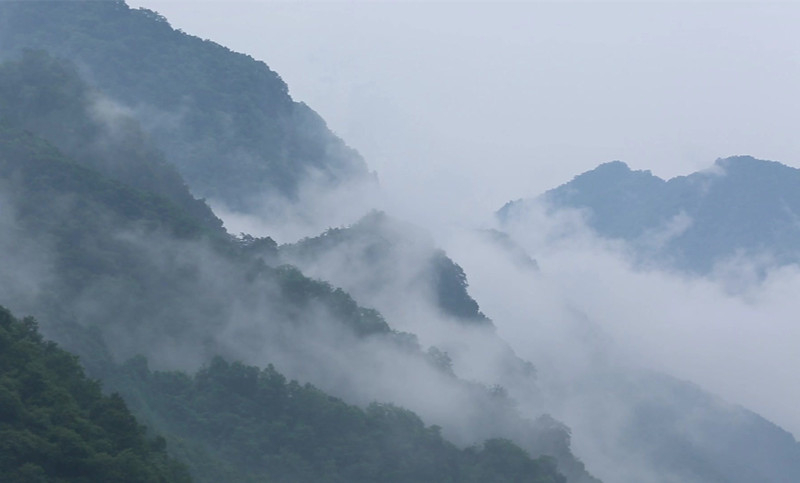 ��ԴԊ�ˡ�����(qi��ng)�Ľ����MԊ