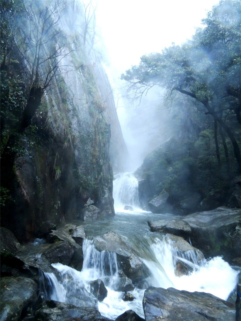 ղ����*���ν���