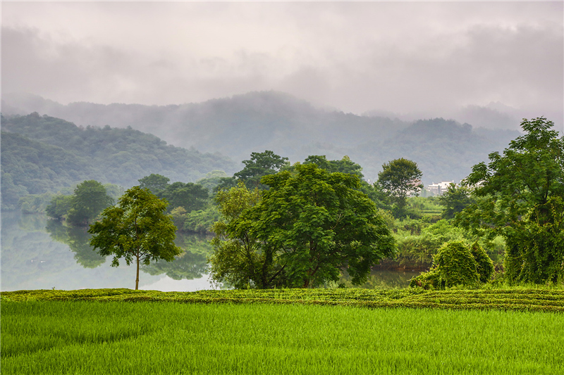 ղ����*���ν���