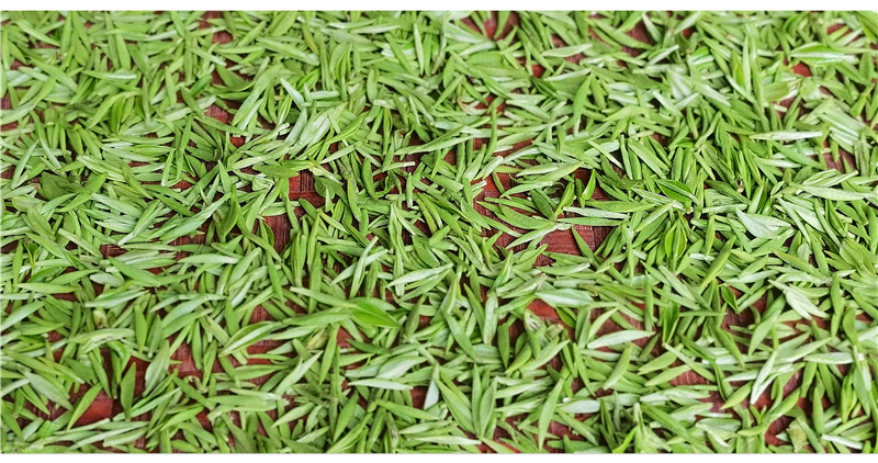 �茦ˮ�f����������һ��������ԴȪ