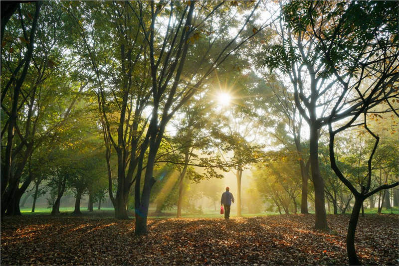 ���L�����ꡢ���~���ﾰ������˼