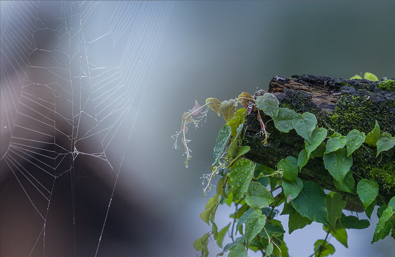 ���L�����ꡢ���~���ﾰ������˼