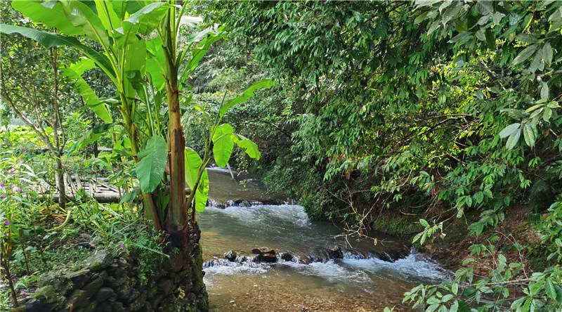 ���L�����ꡢ���~���ﾰ������˼