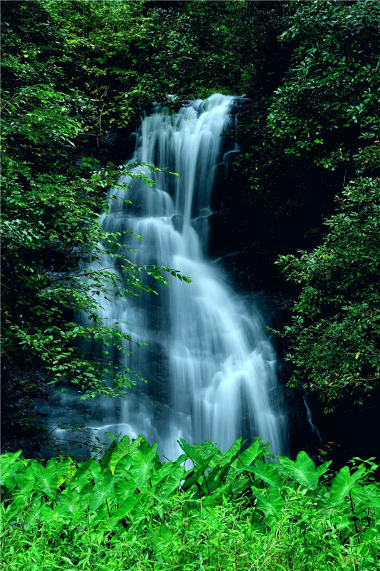 ��ɏԊ����