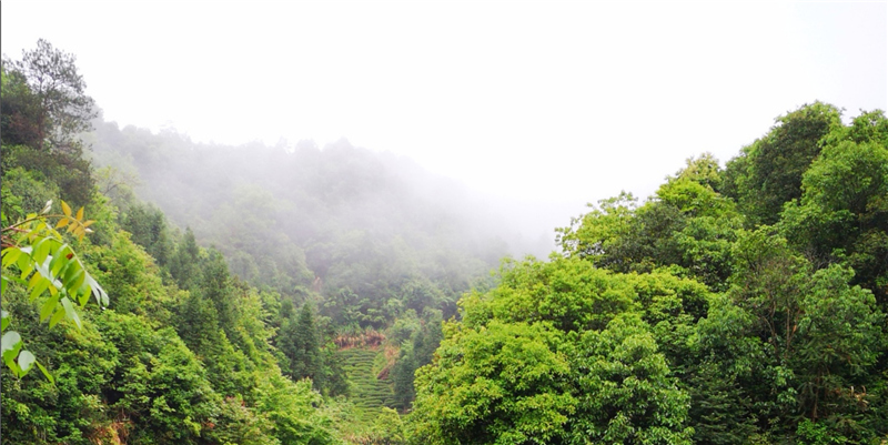 Ʒ�{�ȴ����и�