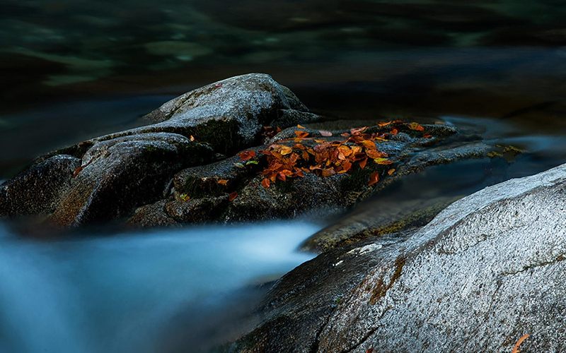 ���KԊ�ˡ�������Ԋ����