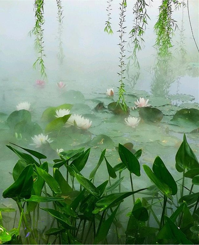 ��������Ԋ���L