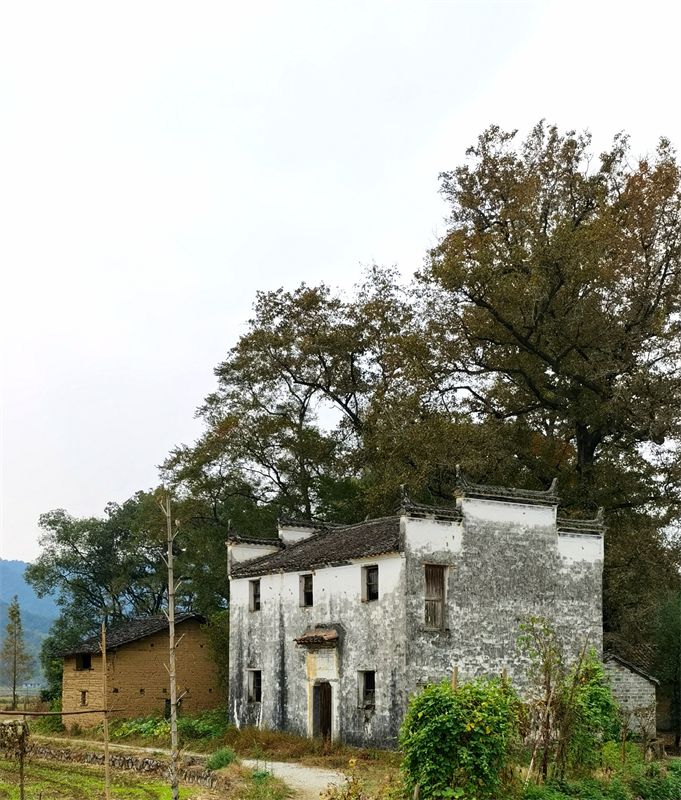 ��������Ԋ���L