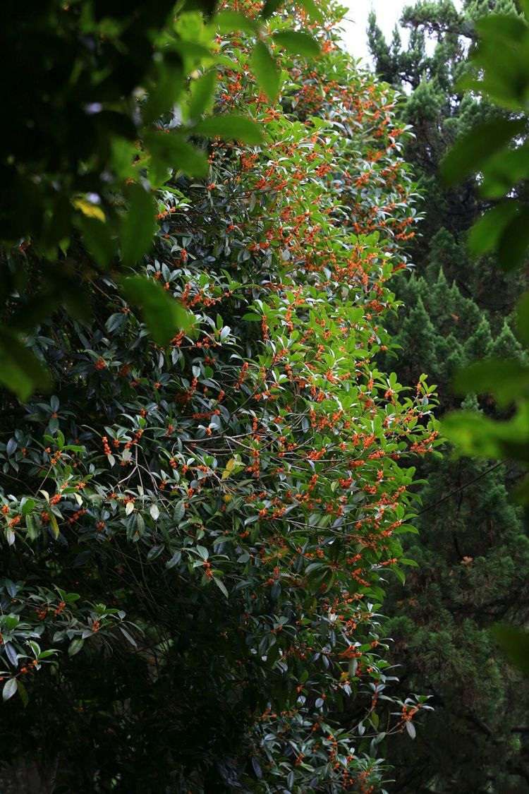 ��������Ԋ���L