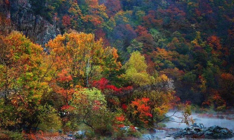 ���dԊ�ˣ�����Ԋ����