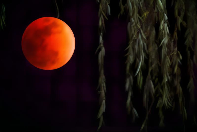 �ﶬ�t퍣�ղ����Ԋ��