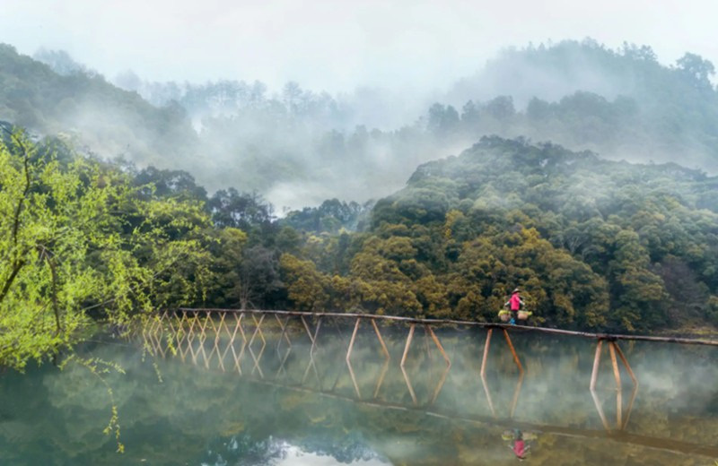 �ﶬ�t퍣�ղ����Ԋ��