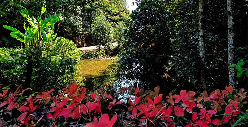 �����������ﶬԊ(sh��)�~�x