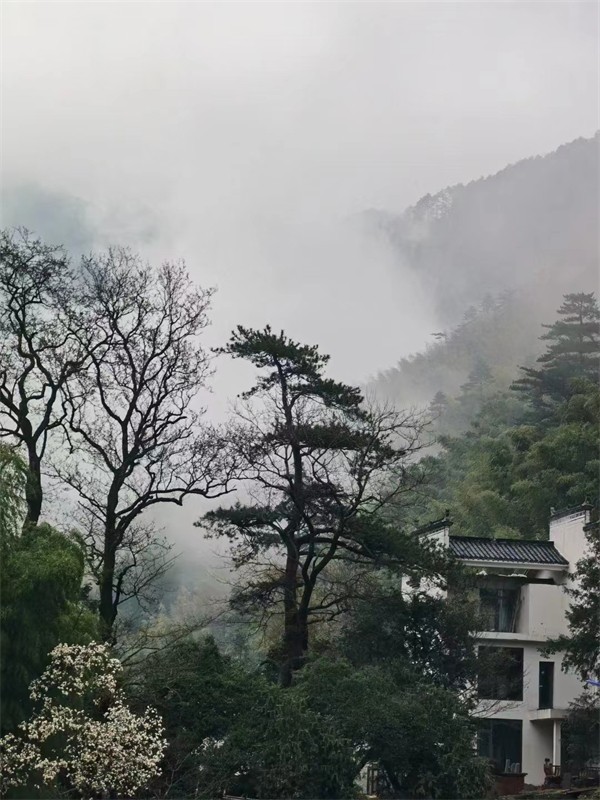 �����������ﶬԊ(sh��)�~�x