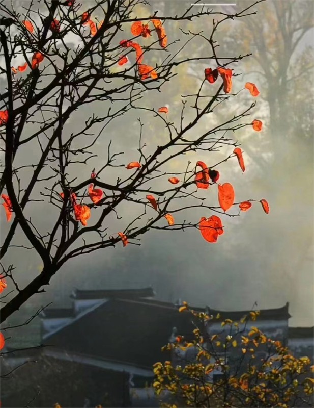 �����������ﶬԊ(sh��)�~�x