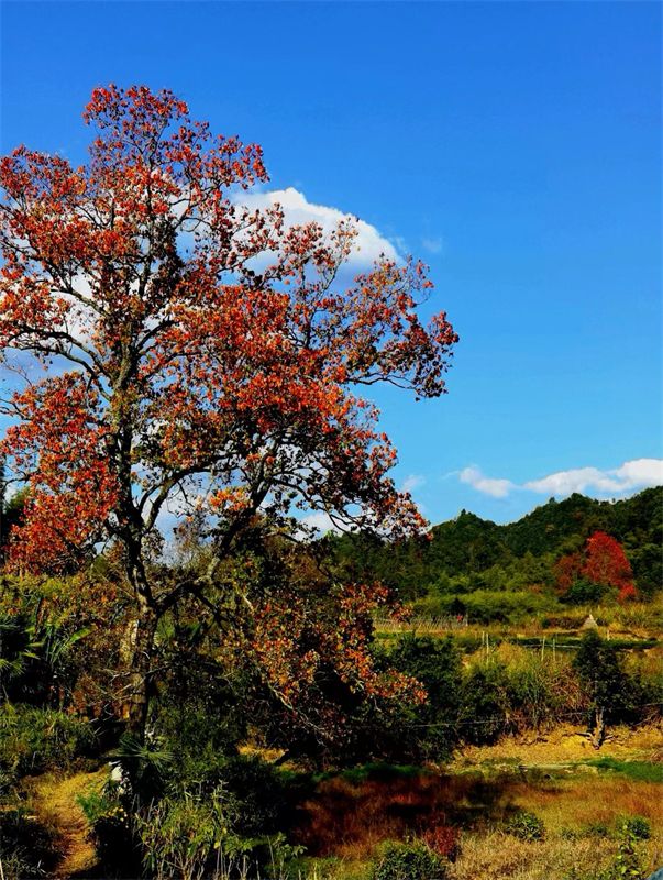 �����������ﶬԊ(sh��)�~�x