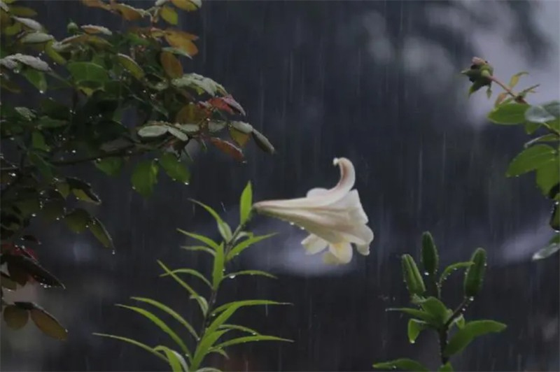 Ԋ�˽������������ٶ�Ԋ��