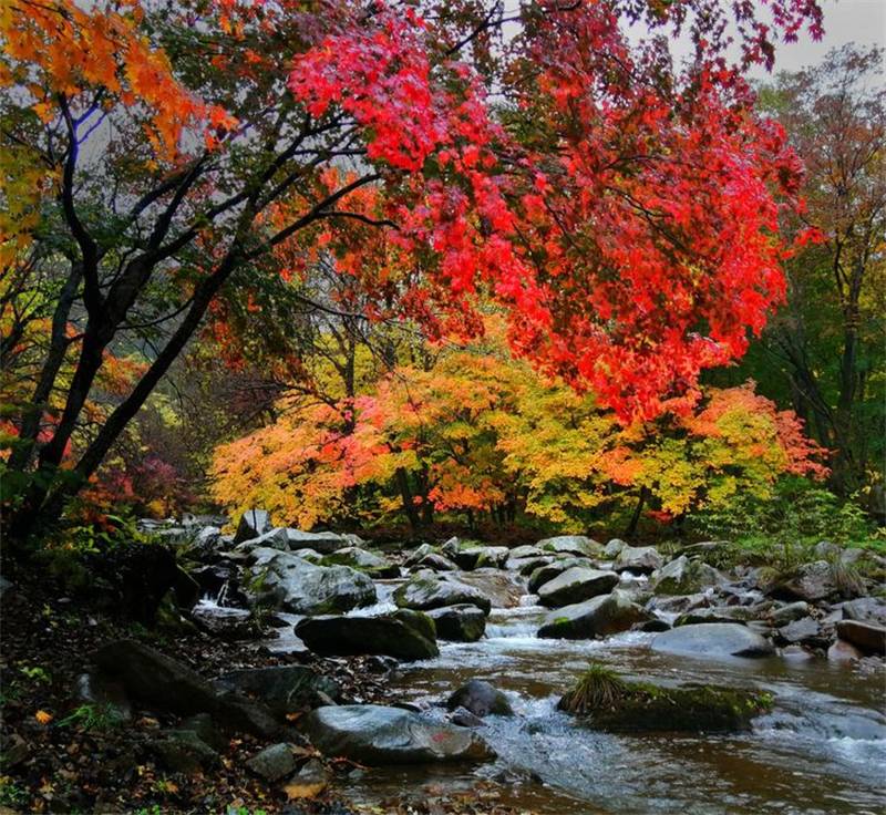 Ԋ�˽������������ٶ�Ԋ��