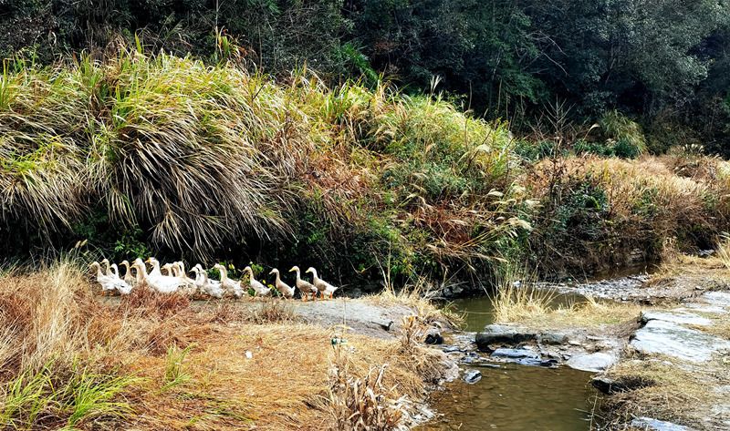 ���󶬵���Դ���^��X-����ͤ