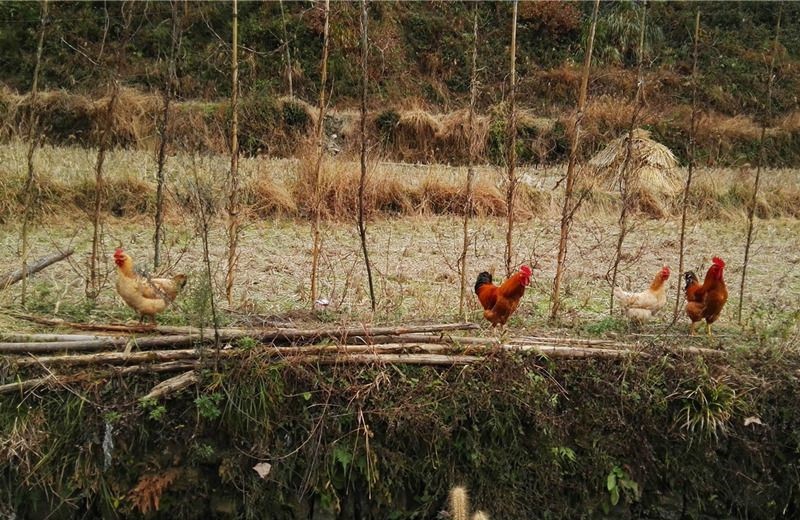 ���󶬵���Դ���^��X-����ͤ