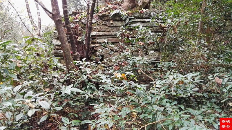 ���󶬵���Դ���^��X-����ͤ