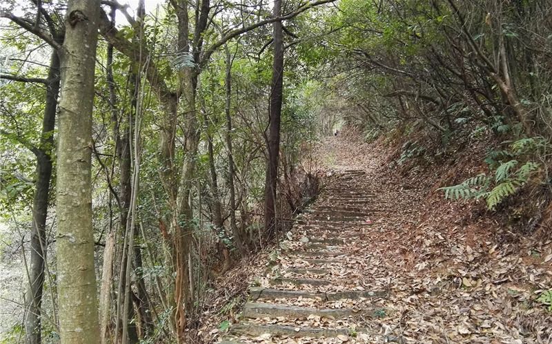 ���󶬵���Դ���^��X-����ͤ