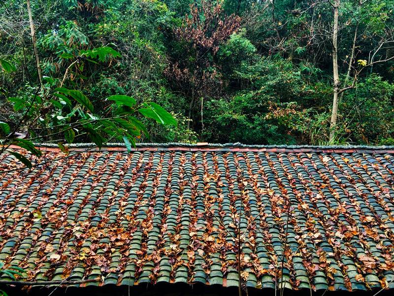 ���󶬵���Դ���^��X-����ͤ