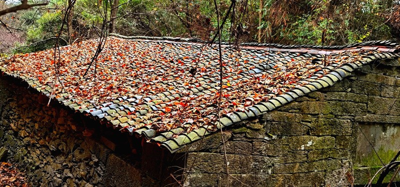 ���󶬵���Դ���^��X-����ͤ