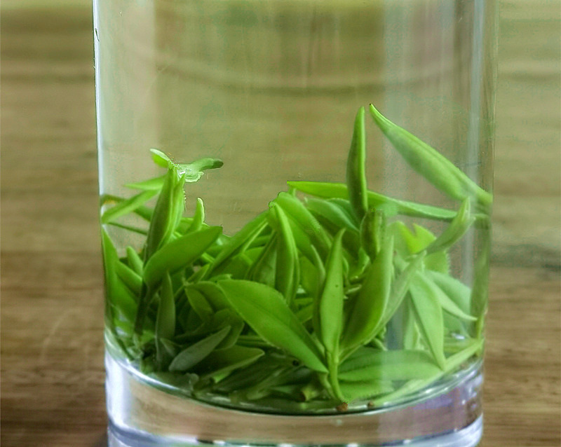 ������͵͵�������кȲ����