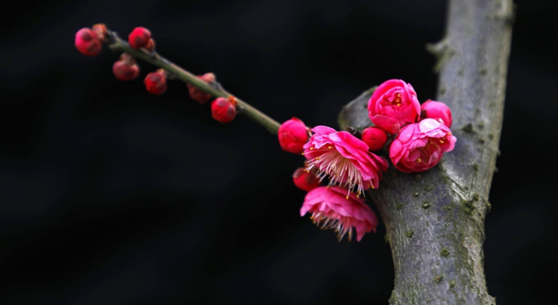 �r�հ��S��