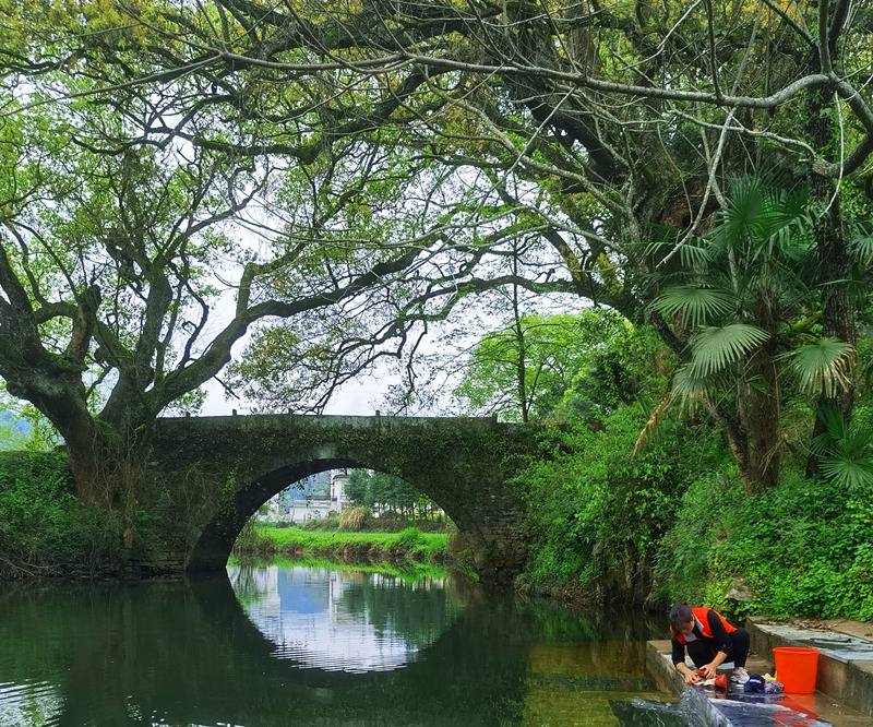 �������������´�����