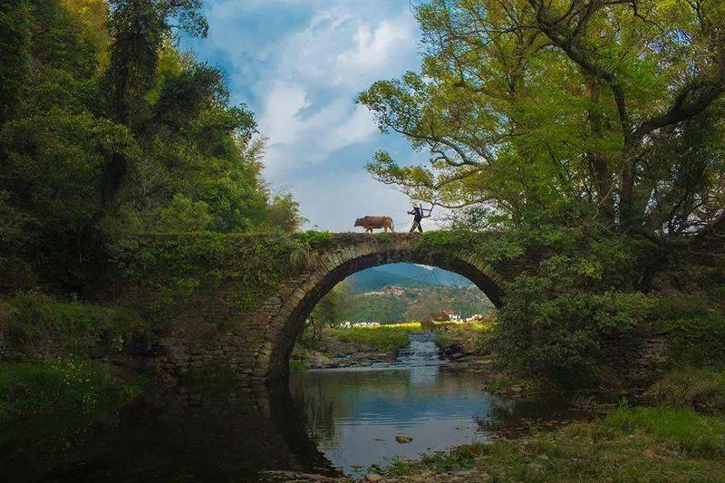 �����@�UԊ����