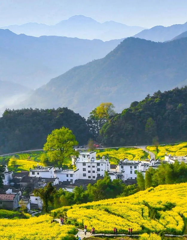 �����@�UԊ����