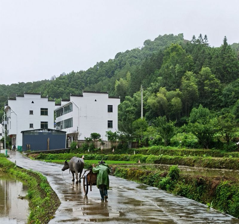 �������ꌣ݋