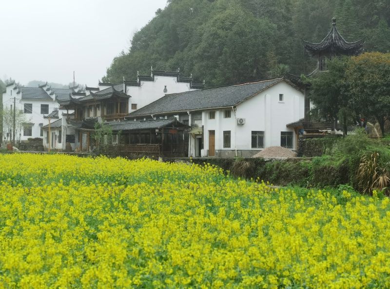 �������ꌣ݋