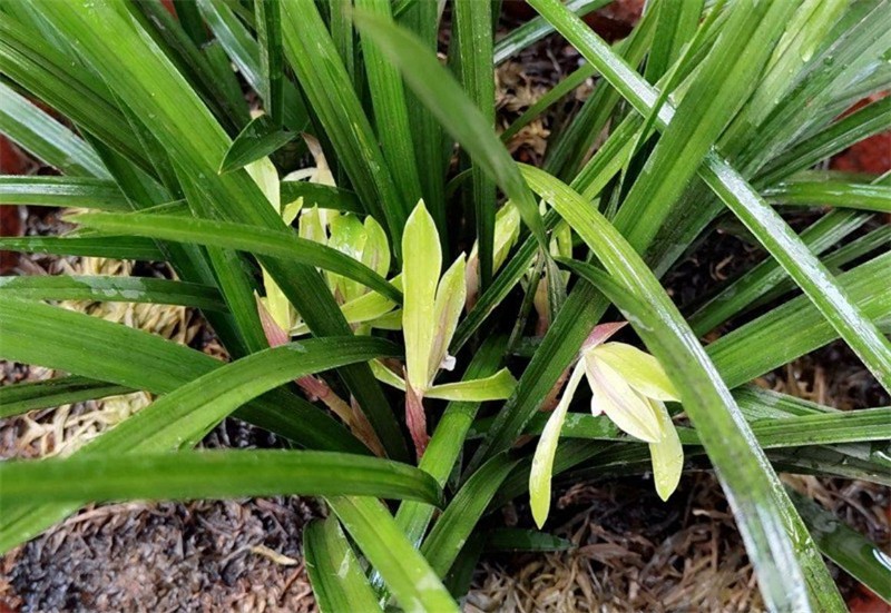 �������ꌣ݋