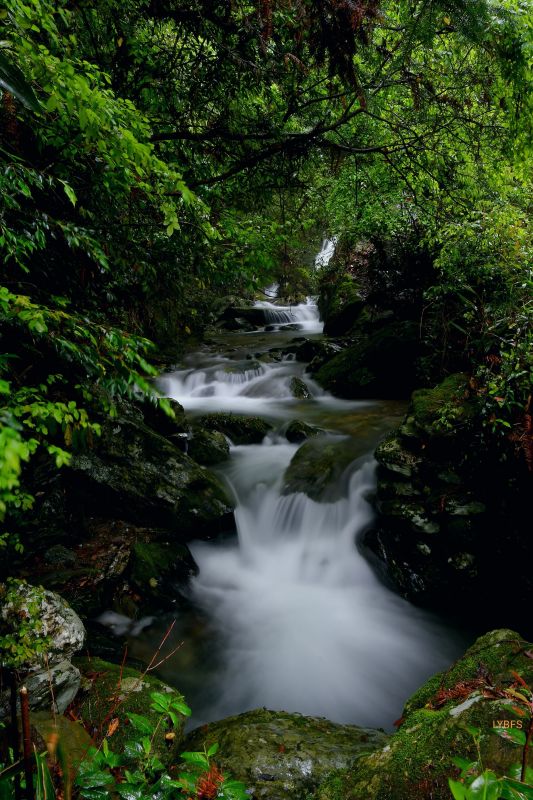 �������ꌣ݋