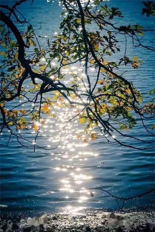 Ī�������