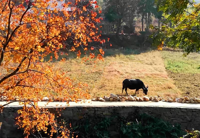 ���~Ԋ�⡪��ղ�����MԊ