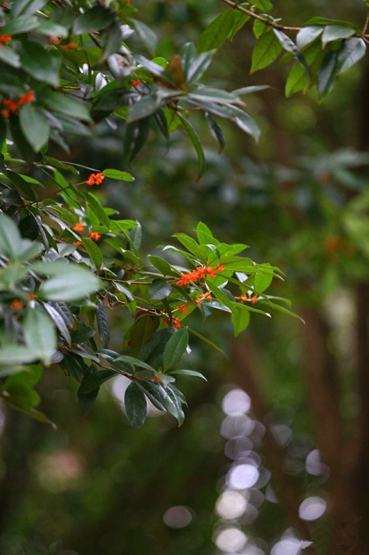 ���~Ԋ�⡪��ղ�����MԊ