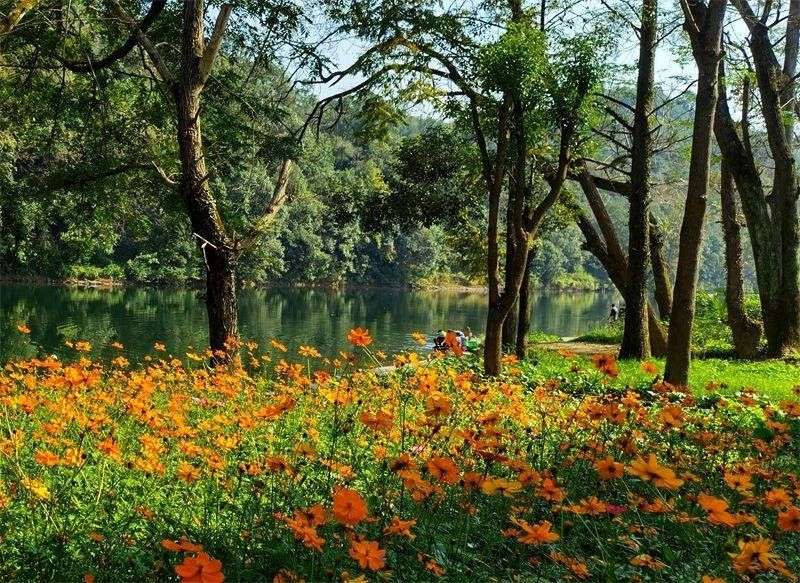 ��|�v�ώ��ﶬԊ�~һ�M