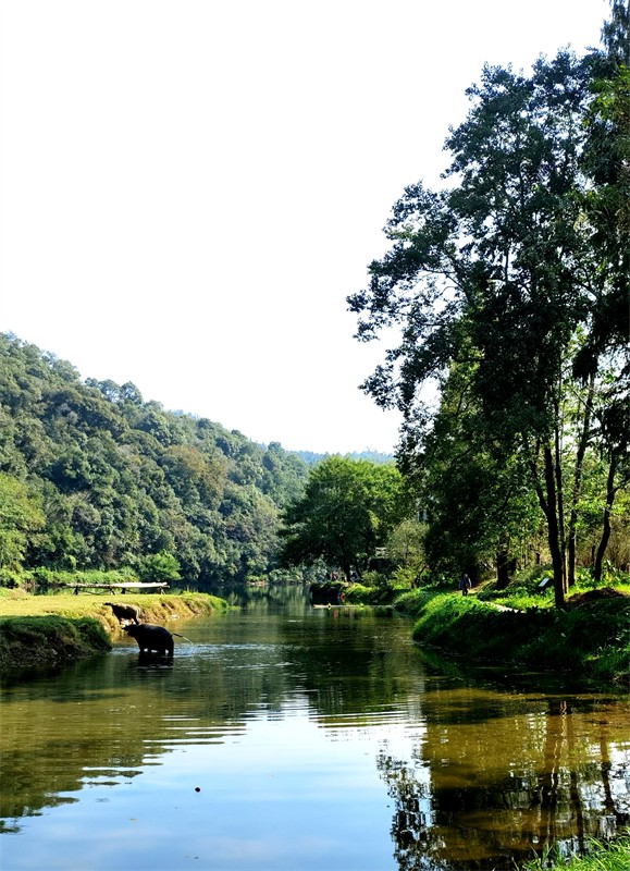 ��|�v�ώ��ﶬԊ�~һ�M