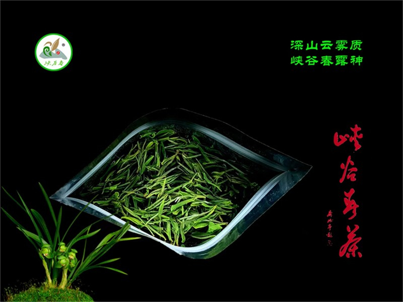 2023����ף��