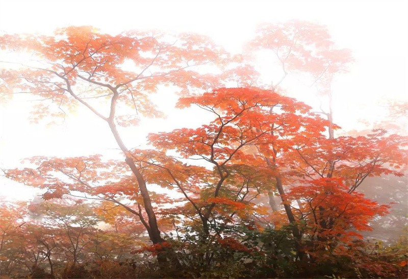 �����x�ώ�����Ԋ�~