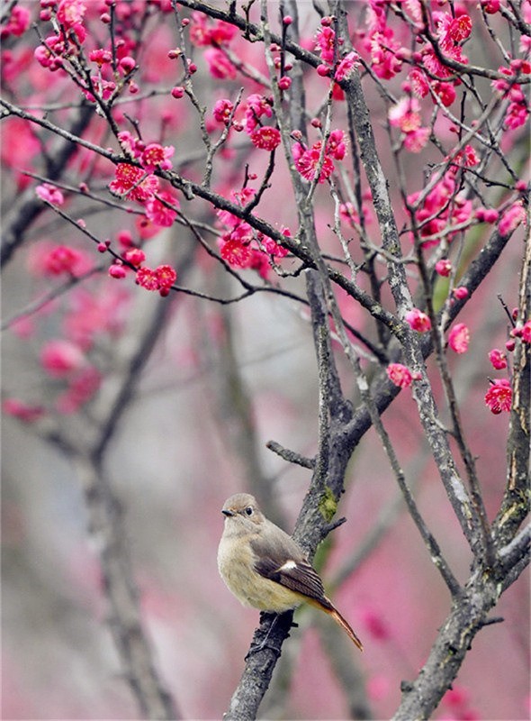 2023�����´�֮Ԋ�鮋�⣬�l(xi��ng)��ƪ