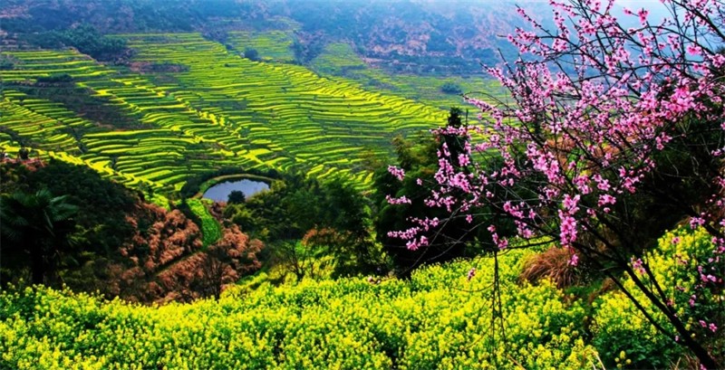 ���L���괺����������|�v�ώ�Ԋ��